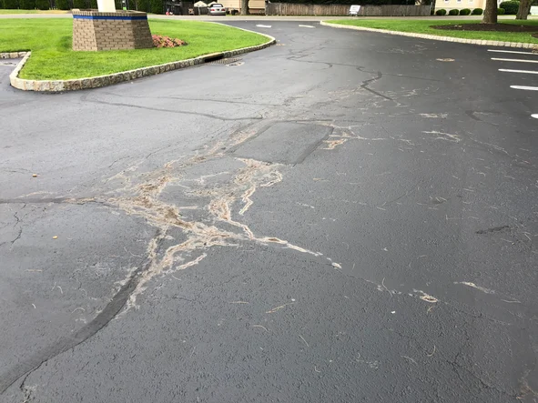 Asphalt Emulsion vs Oil-Based Sealer: Why One Fails in Colorado Mountain Weather