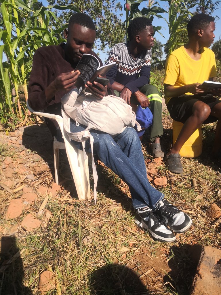 Three young men sitting among corn stalks reading The Prayer in rural Malawi