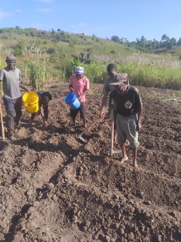 Four men working the soil with hoes and buckets in the Jesus Farm field