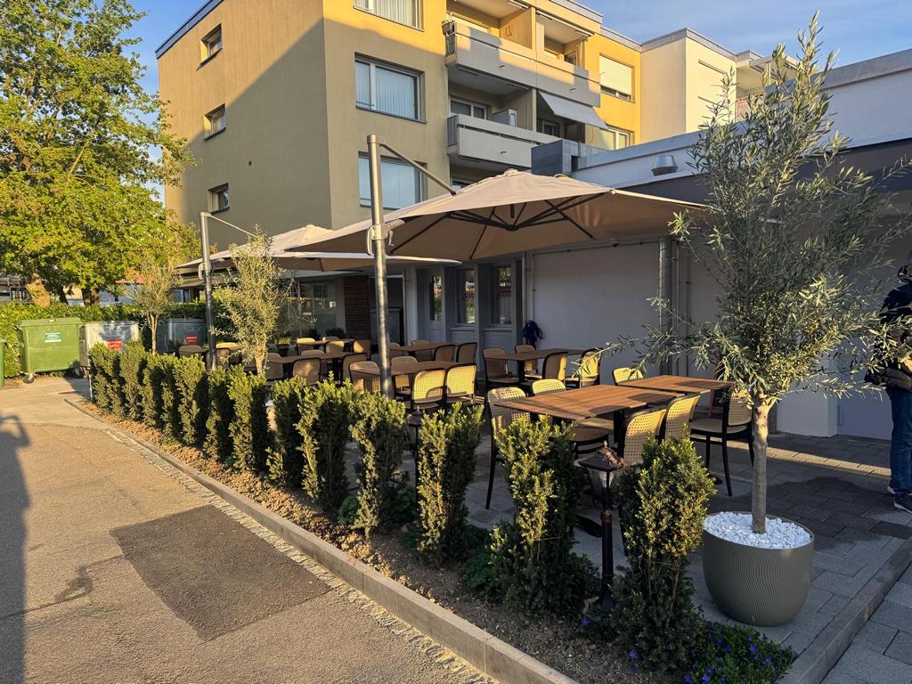 Terrasse mit Begrünung