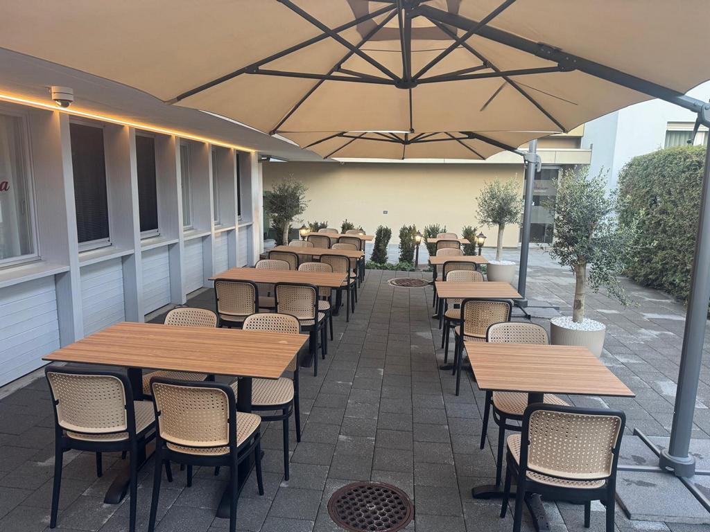 Hintere Terrasse mit Olivenbäumen