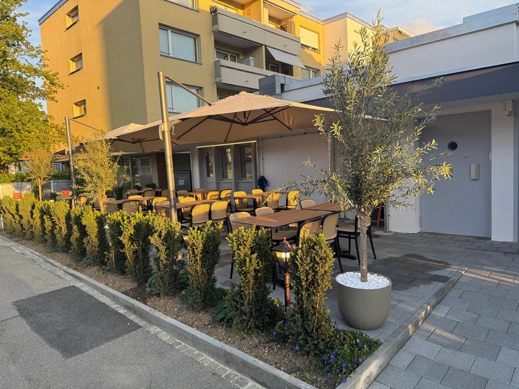 Terrasse mit Olivenbäumen