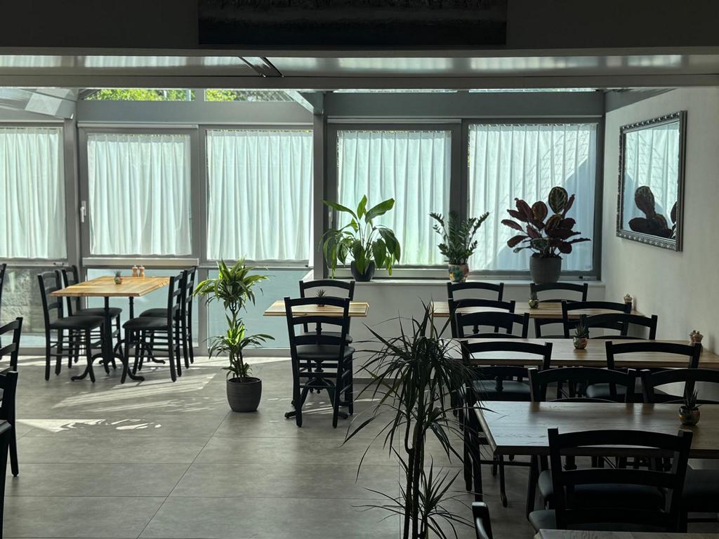 Wintergarten mit Pflanzen
