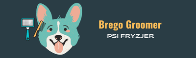 Brego Groomer logo