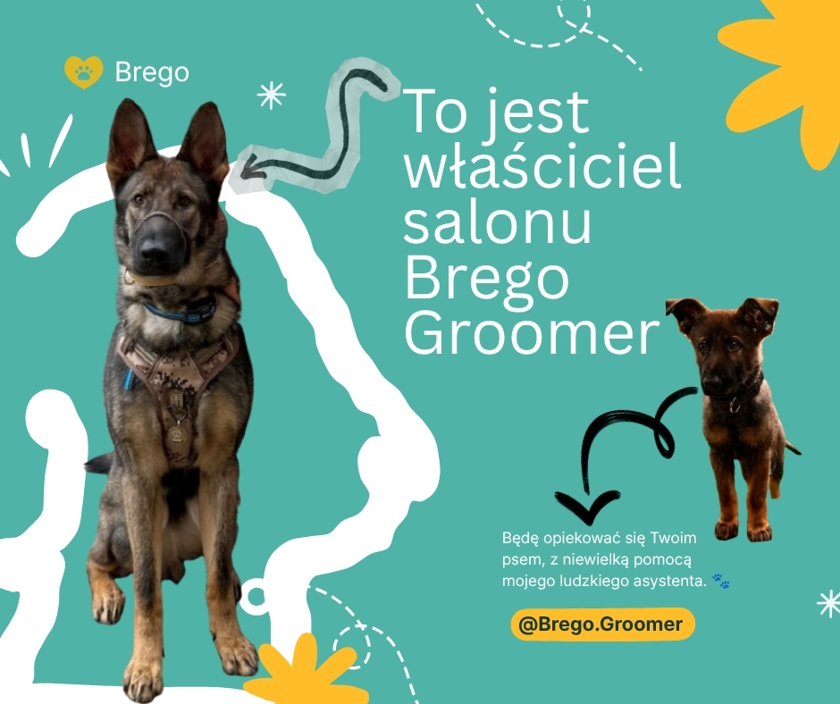 Brego Groomer