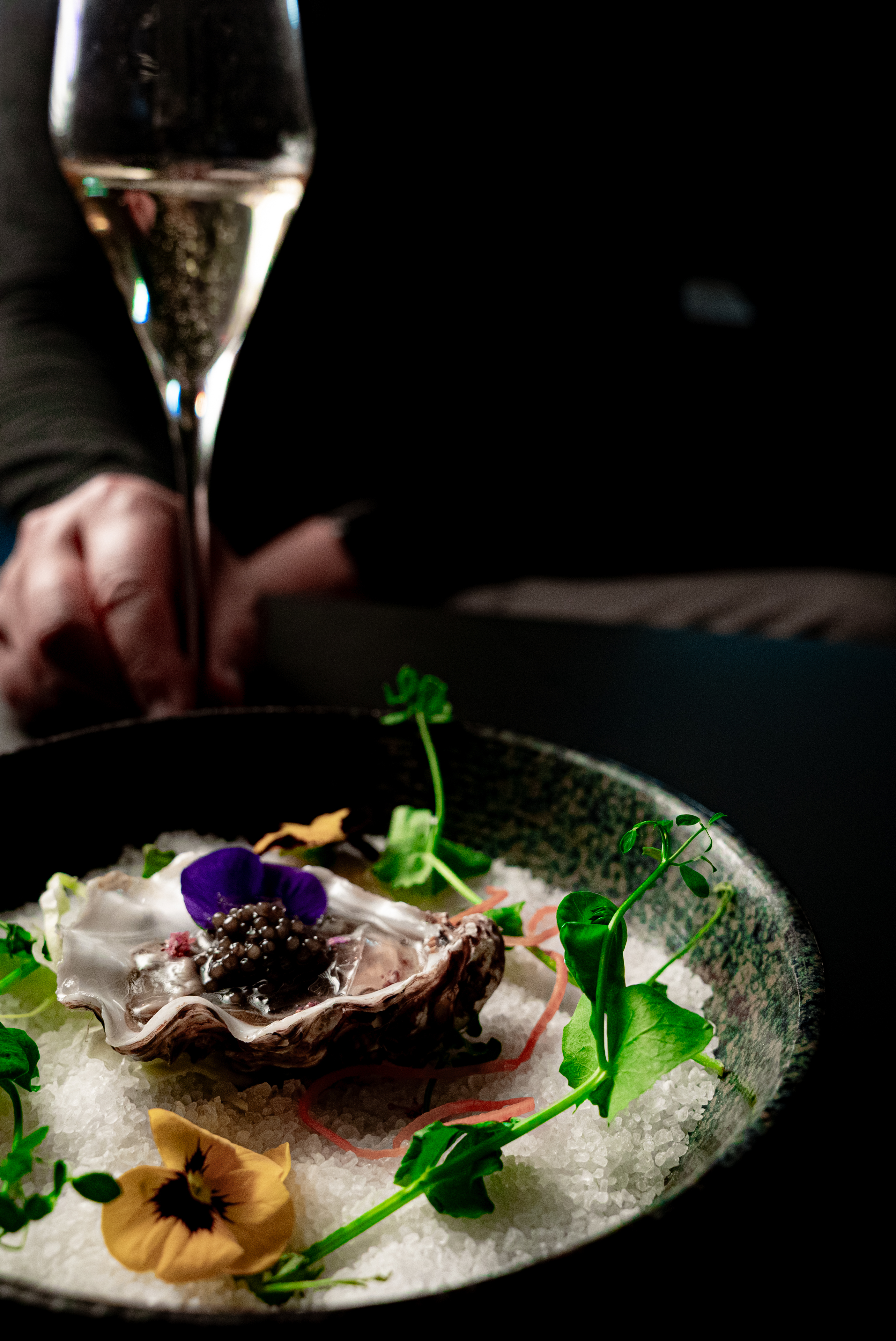 Food Photography