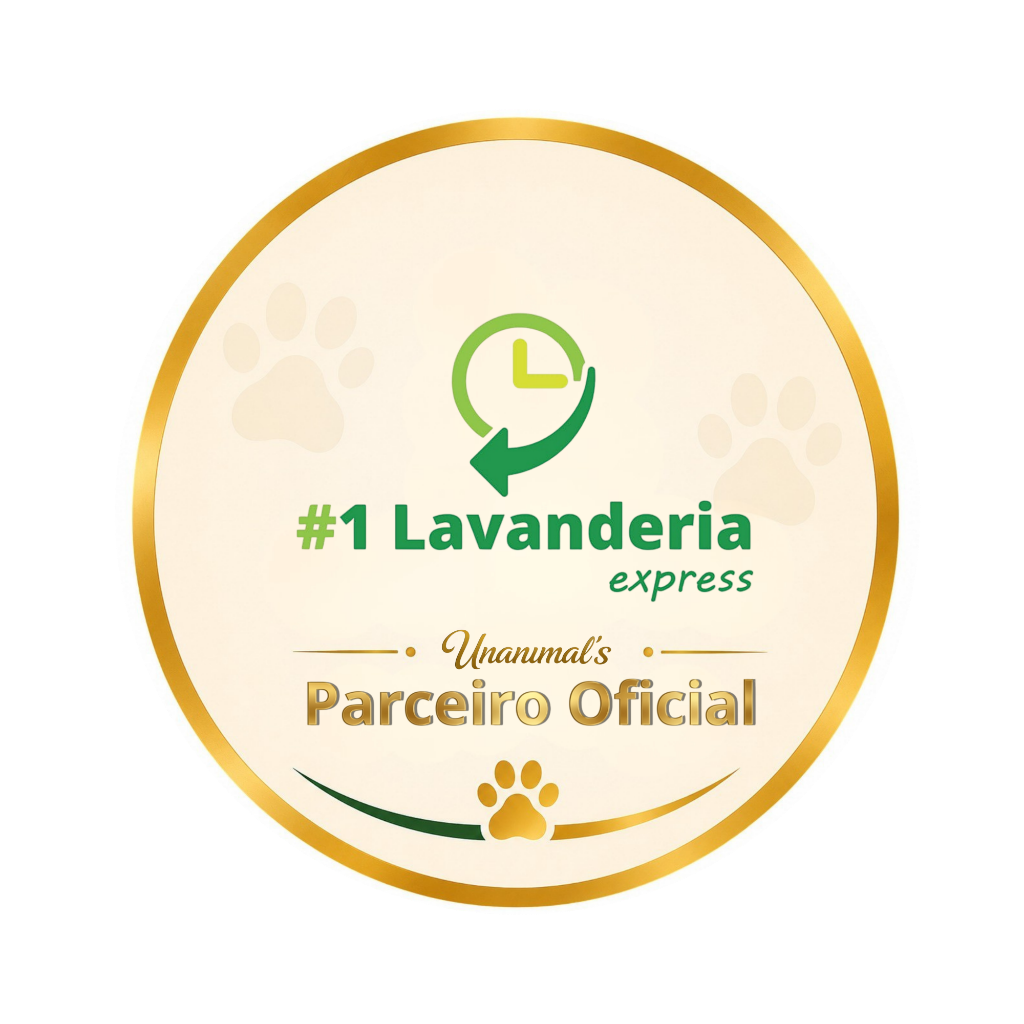#1 Lavanderia Express
