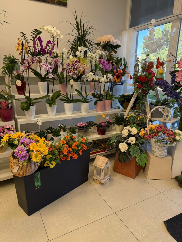 Orchidey a izbové kvety