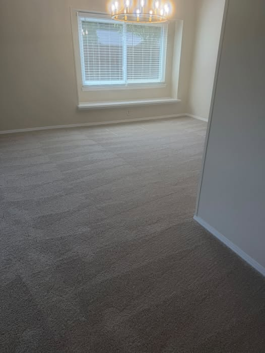 Freshly vacuumed carpet with clean lines β The Tidy Life Co. work