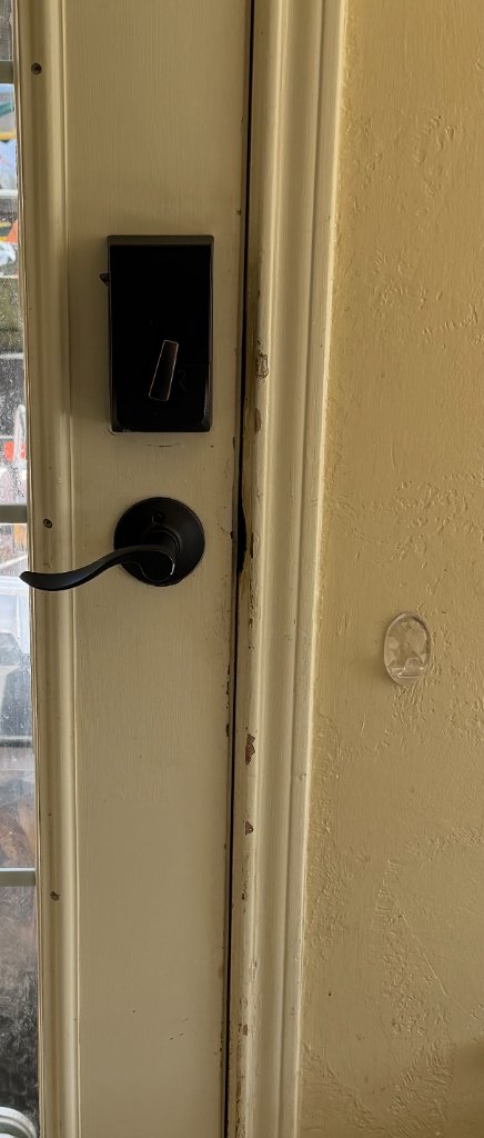 Back Door after