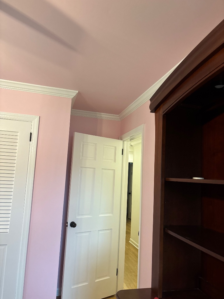 Room corner with light pink walls, white crown molding, and open door