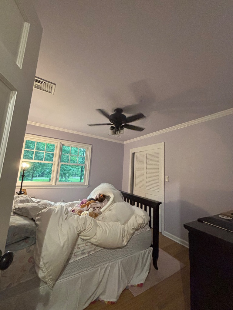 Bedroom with soft lavender walls, white trim, and ceiling fan