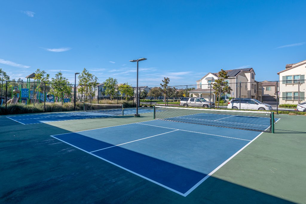 Pickleball Court