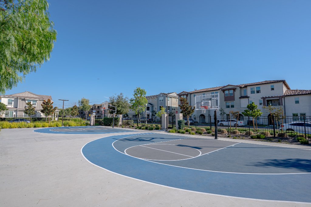 Basketball Court