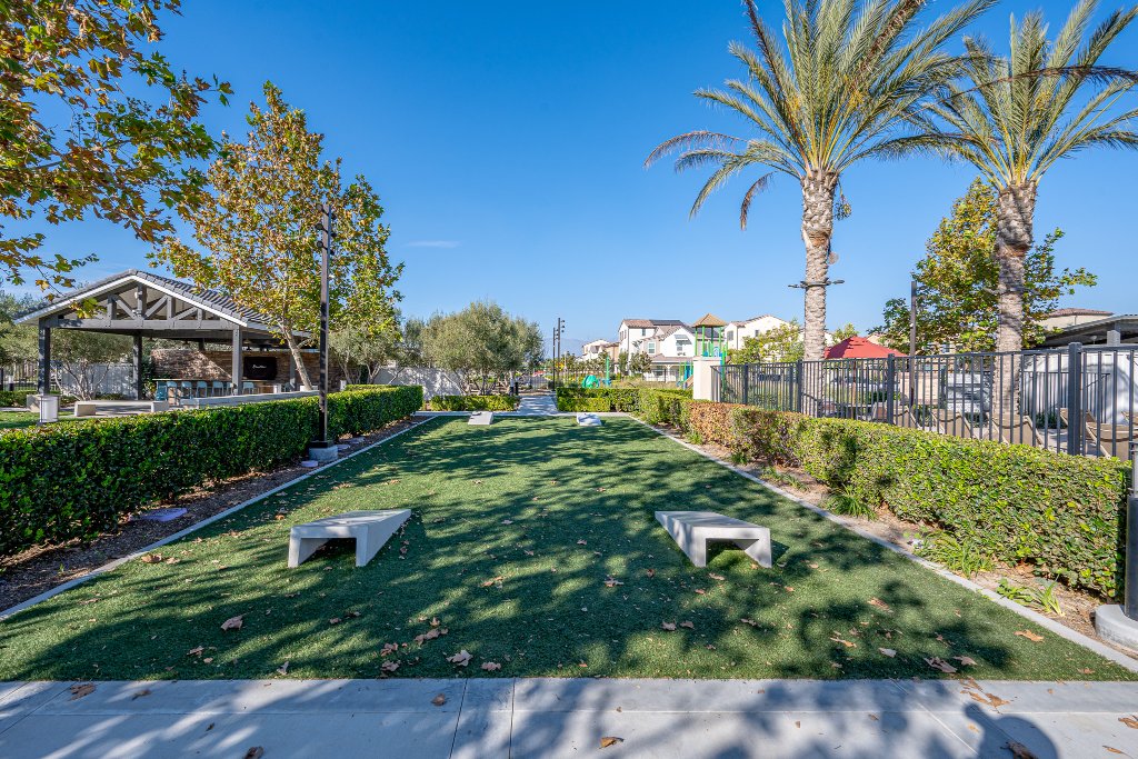 Cornhole Lawn