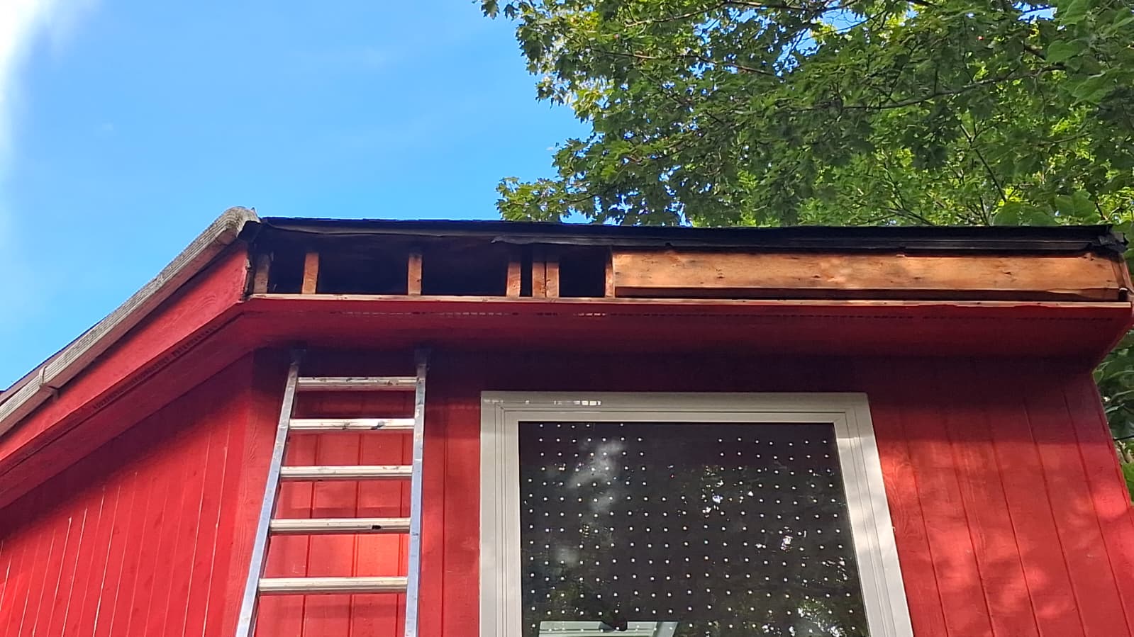 Exterior repair — rotted siding opened up above the window in Hartsdale