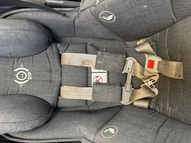 Detail of car seat harness — before deep cleaning