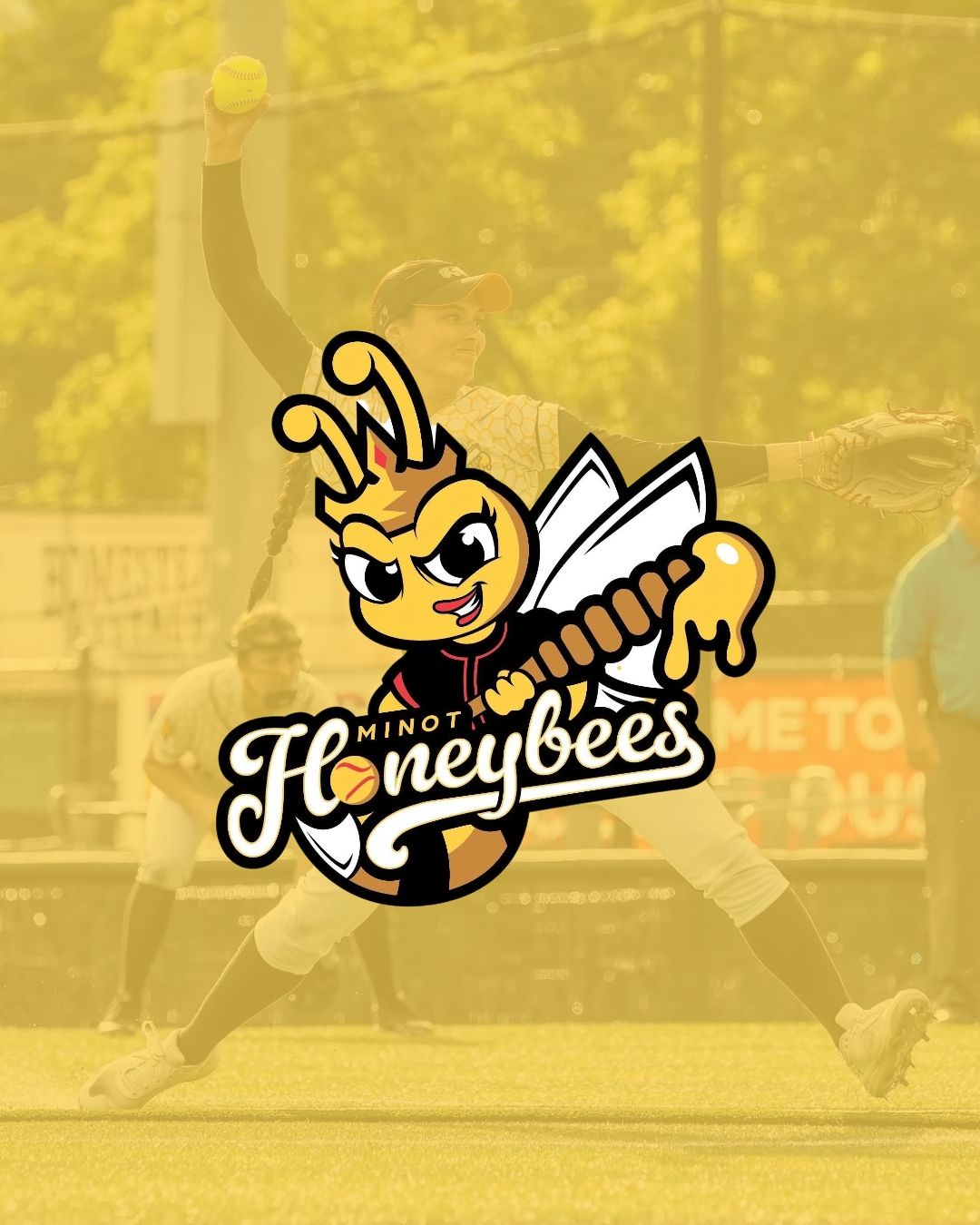 MINOT HONEYBEES