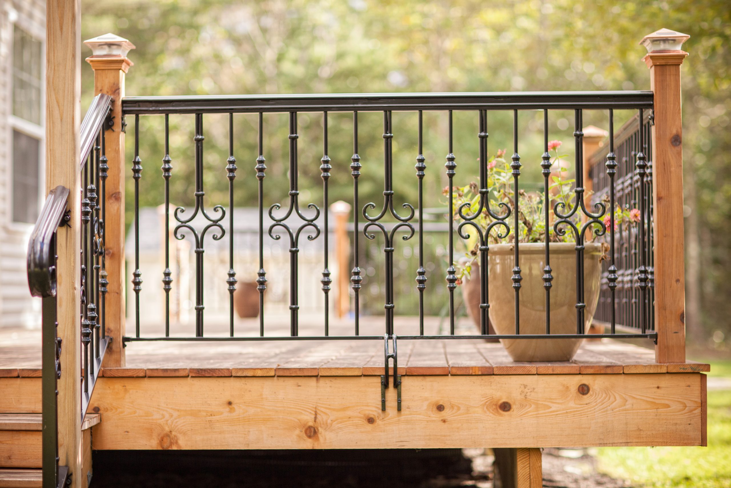 Iron Railings