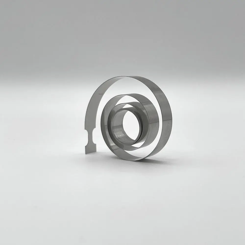 Variable Force Spring VFS-001