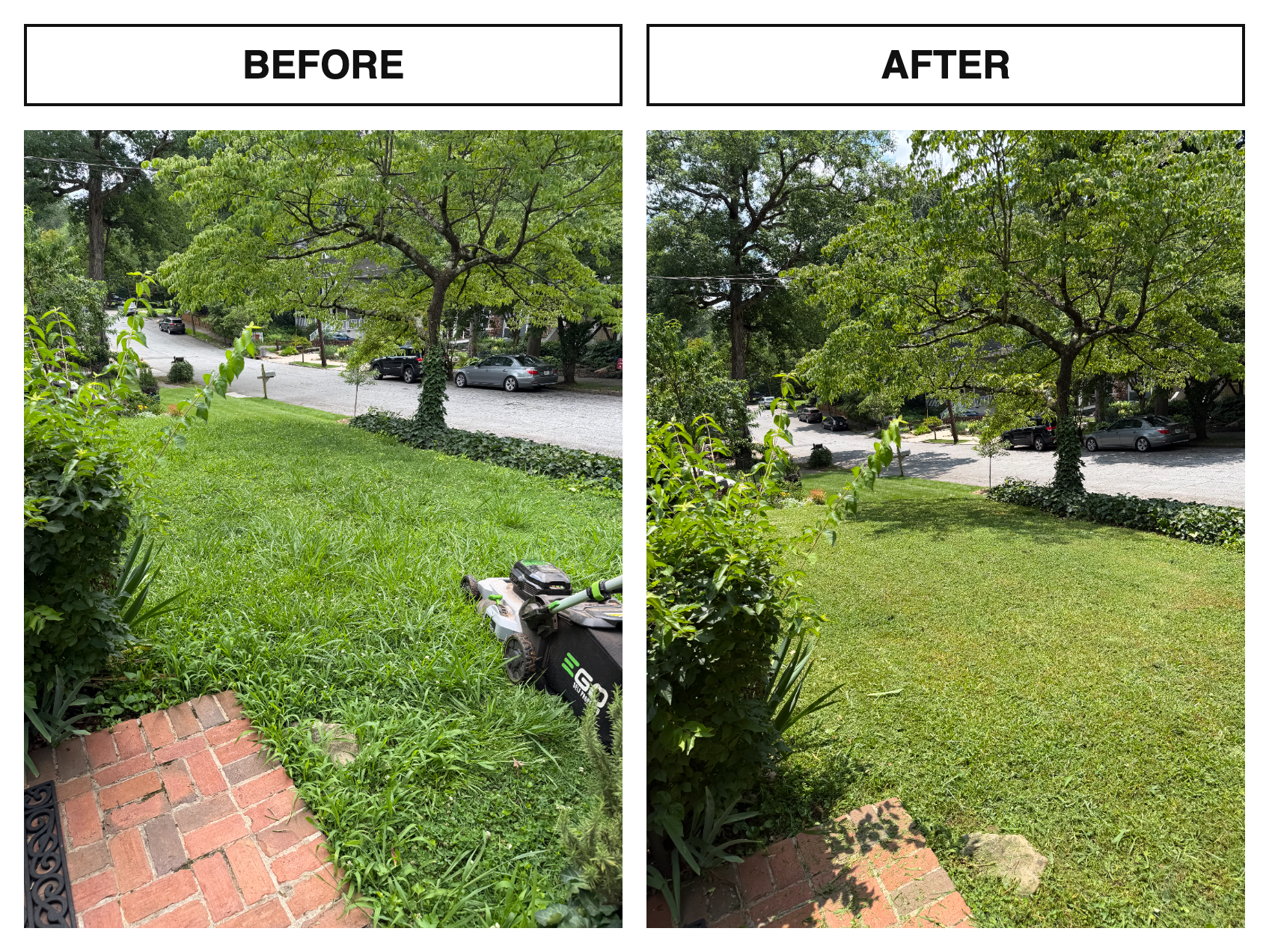 Before & After · Lawn Care