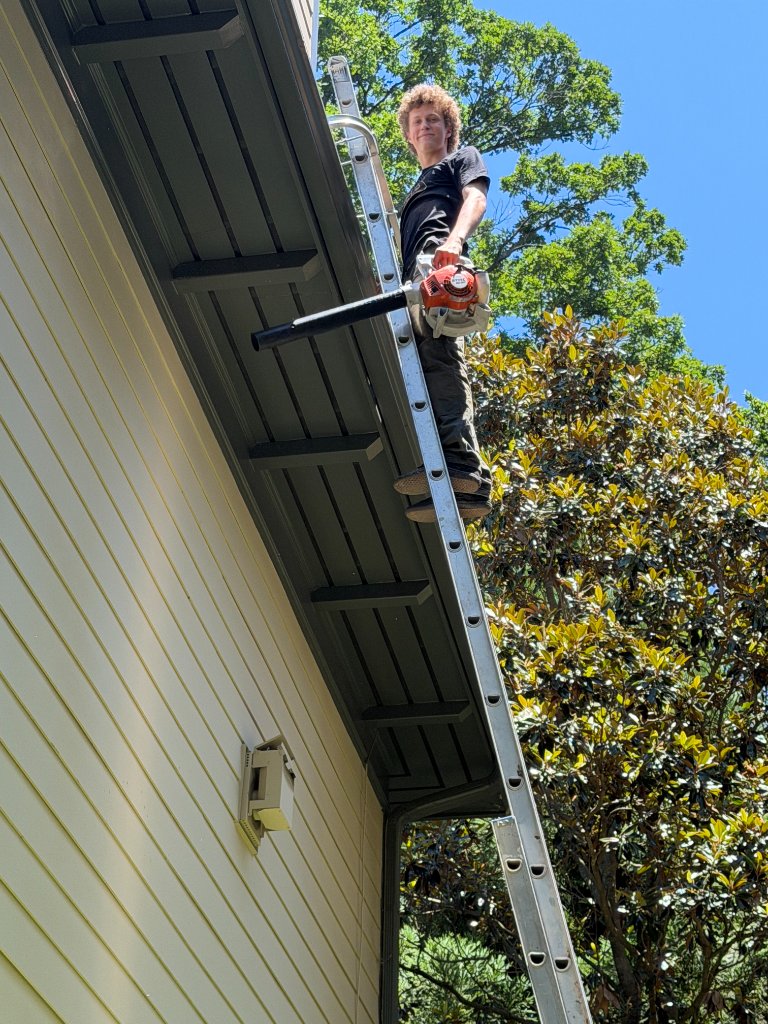 Gutter Cleaning