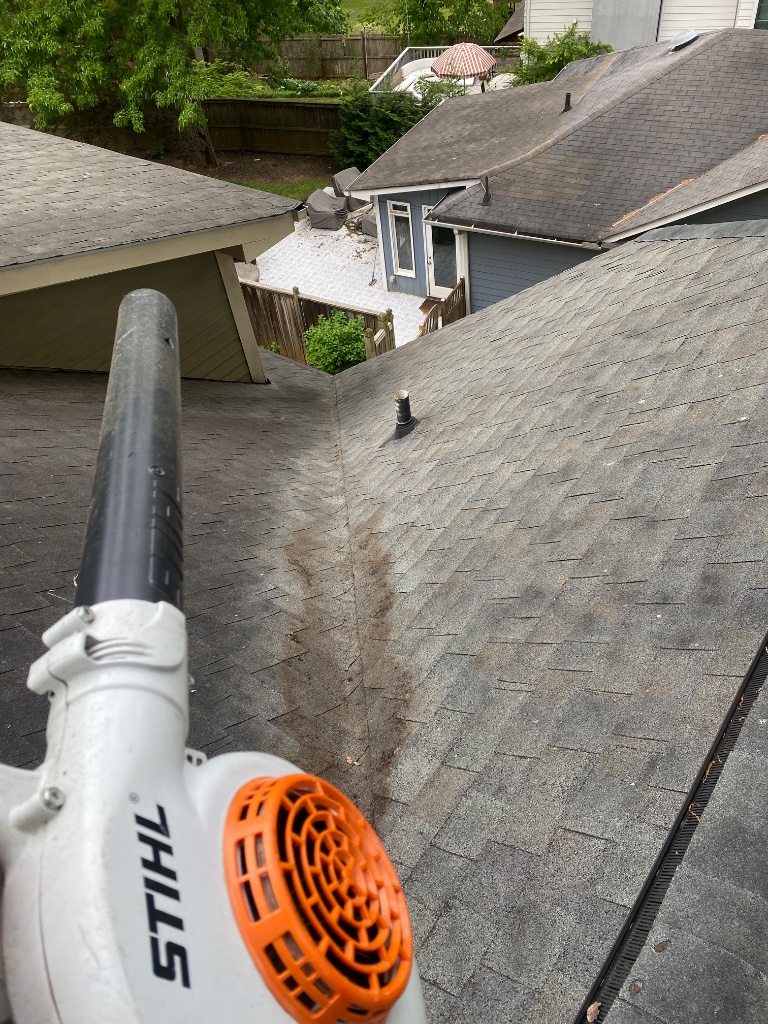 Gutter Cleaning