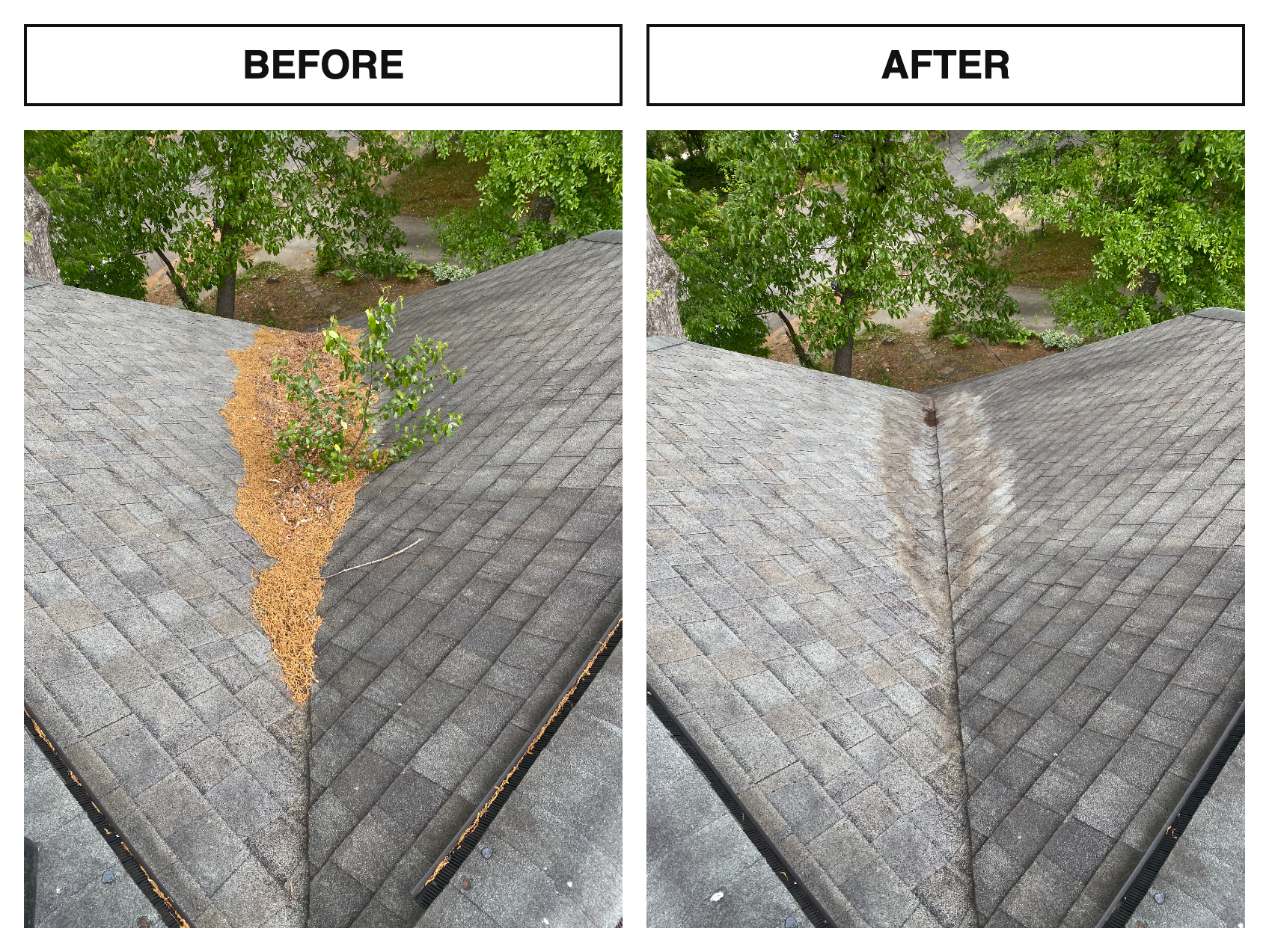 Before & After · Roof Cleaning