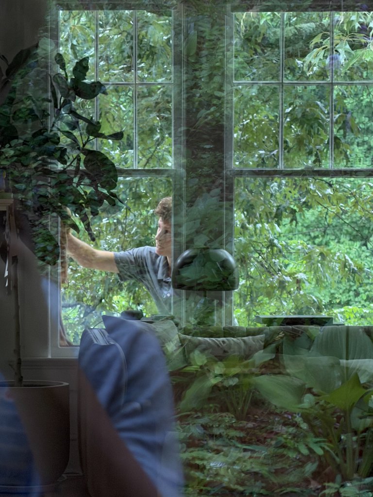 Window Washing