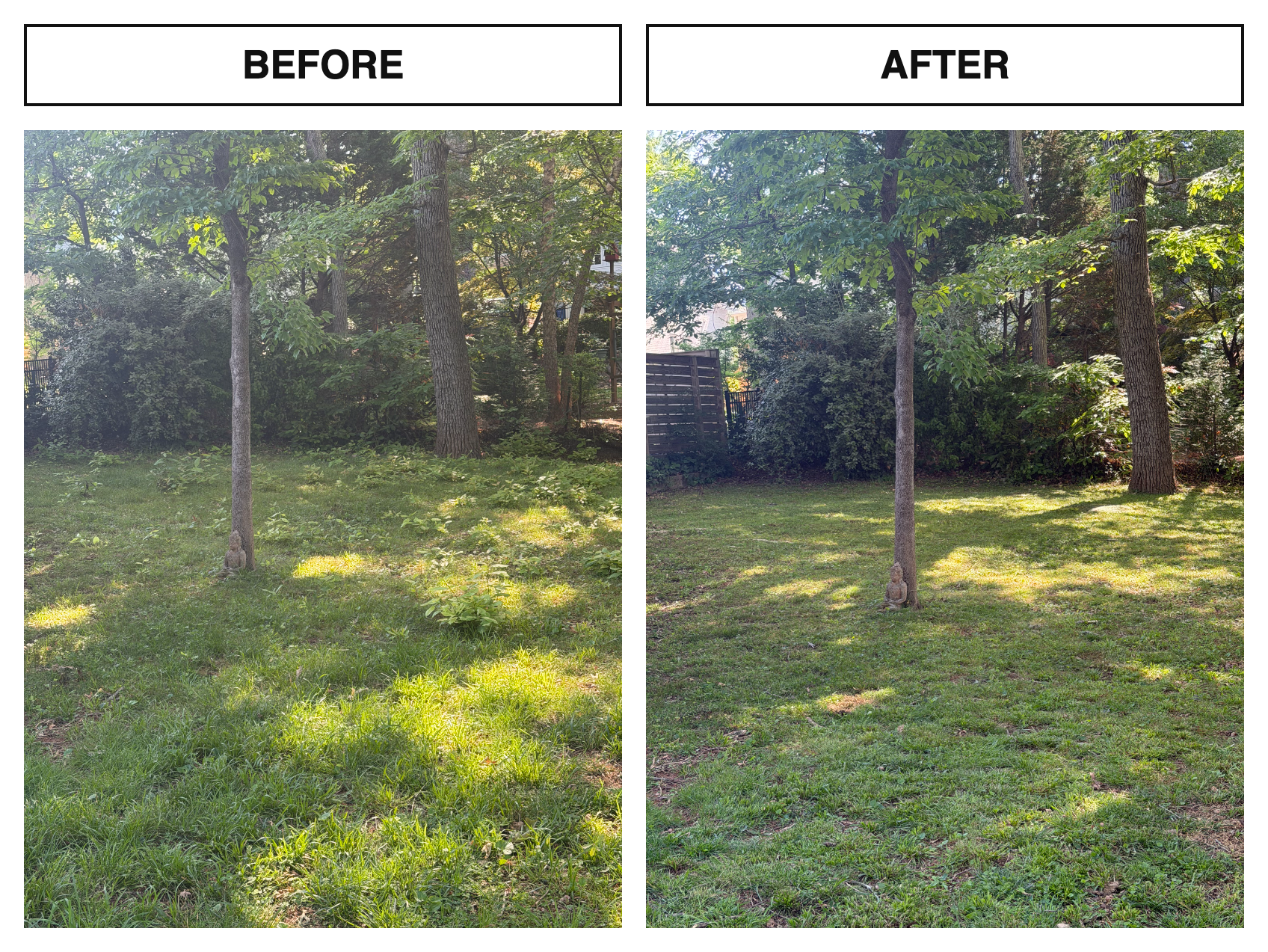 Before & After · Lawn Care