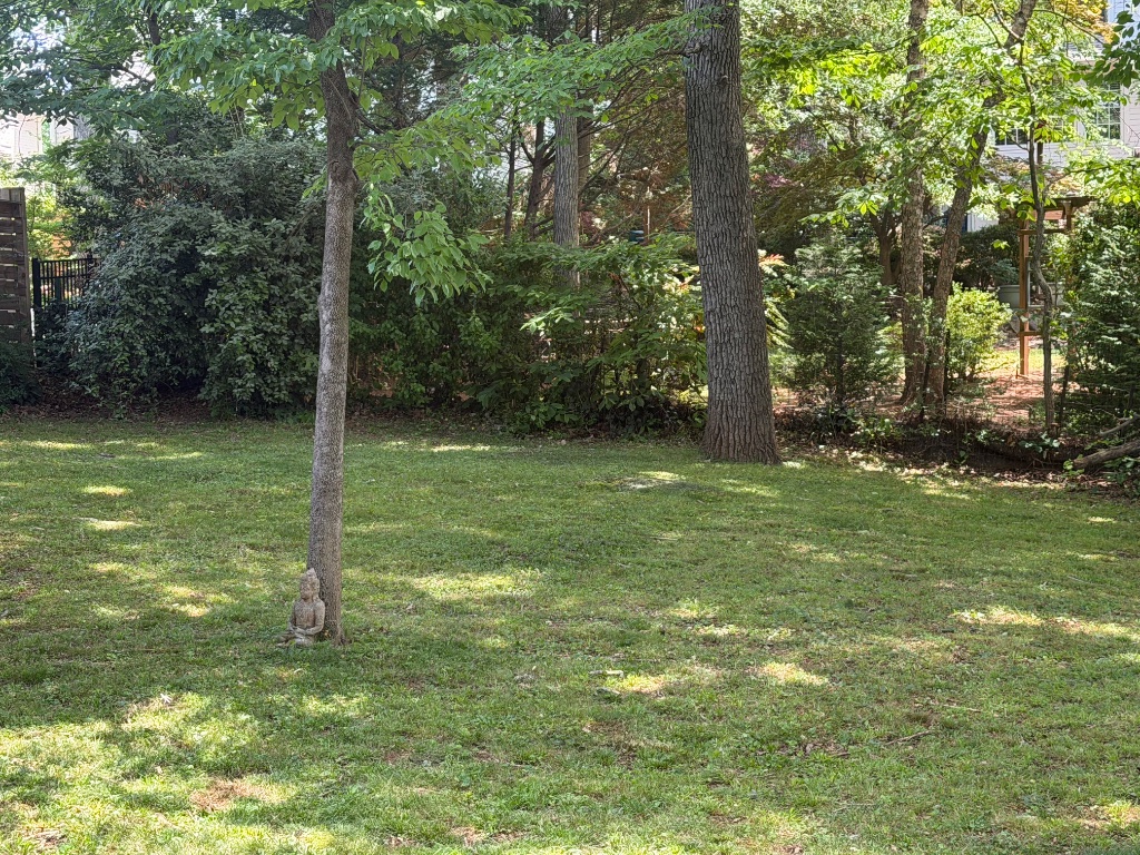 Lawn Care