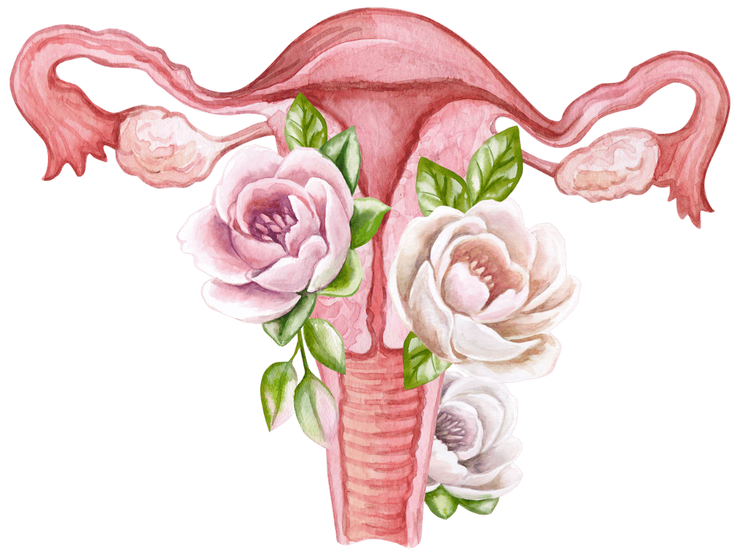 Watercolor illustration of a uterus adorned with roses