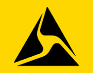 Axon