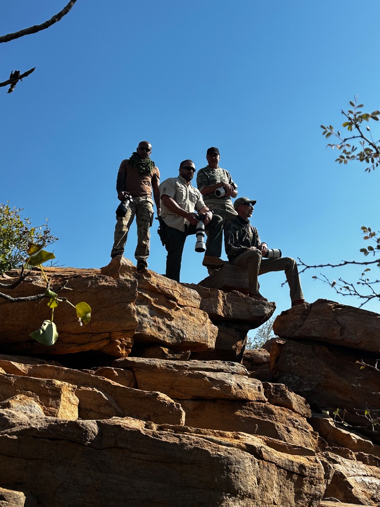 Rhino dehorning operation
