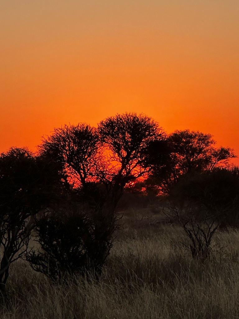 African sunset over the bush