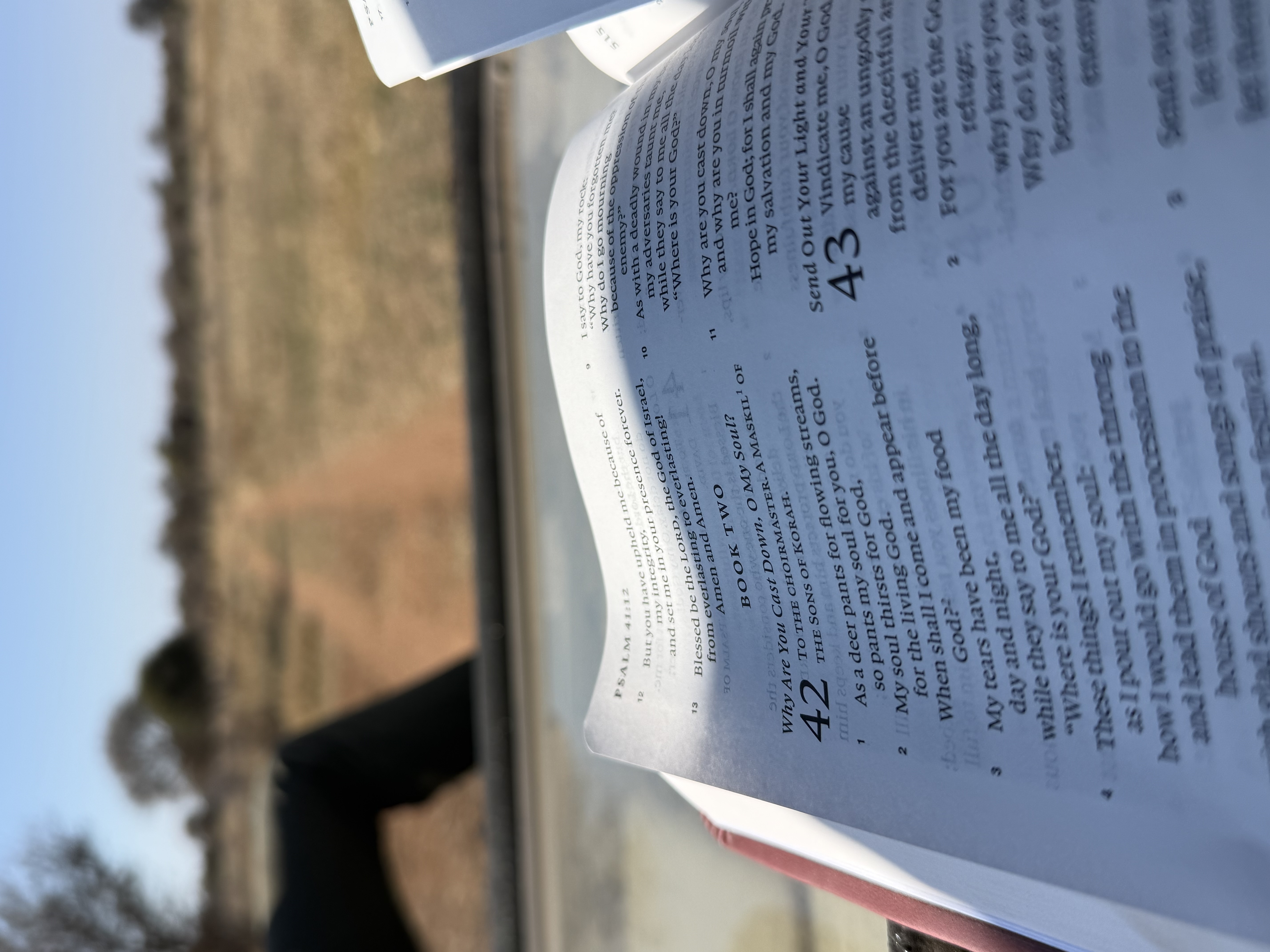 An open Bible — Psalm 42 — held in the wilderness