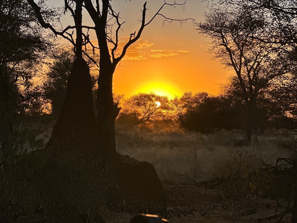 Bush sunset with veterans