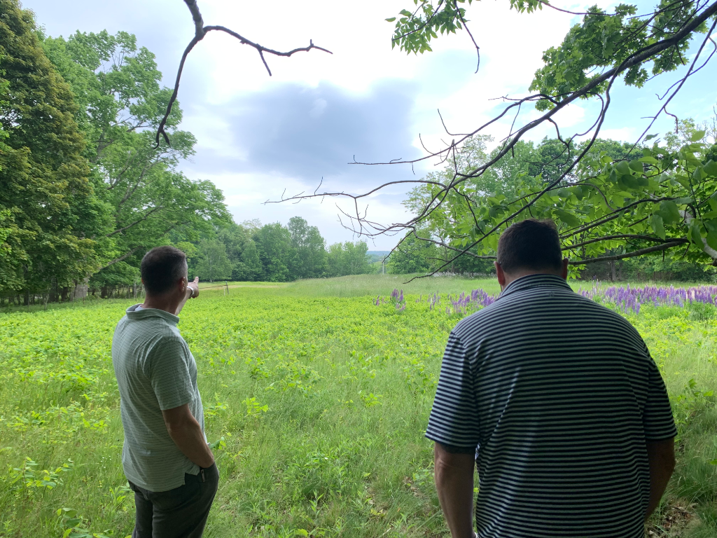 Two reviewers surveying the field with lupines in bloom