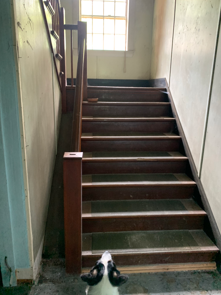 Wooden staircase inside the barn with daylight from a landing window