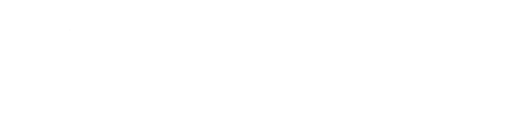 Bison Overland Logo