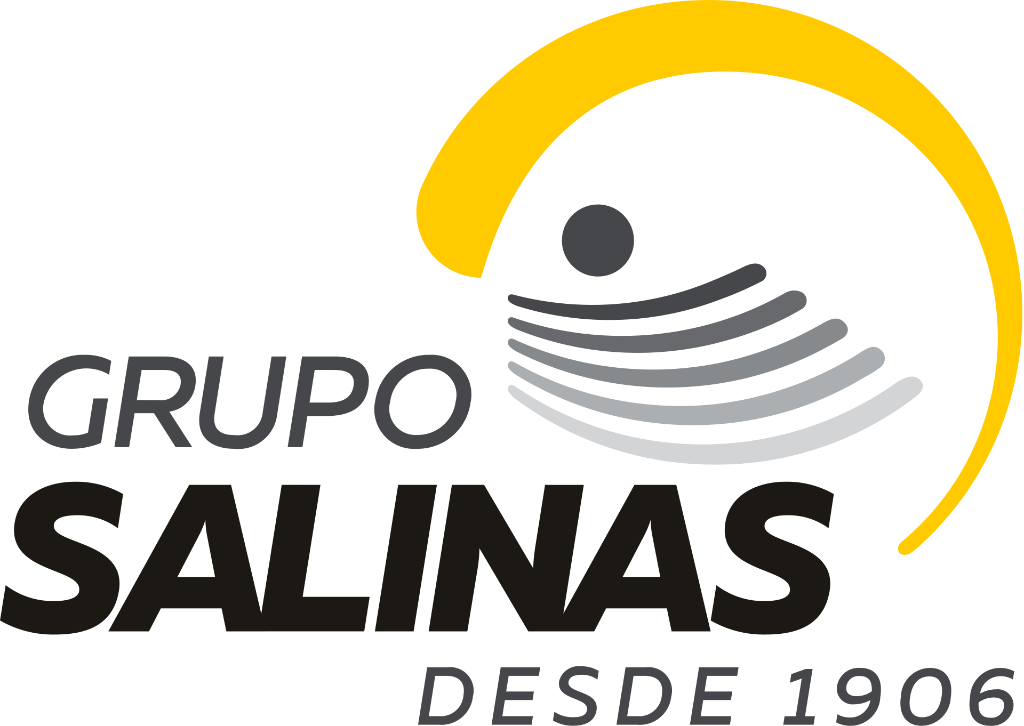 Logo Grupo Salinas