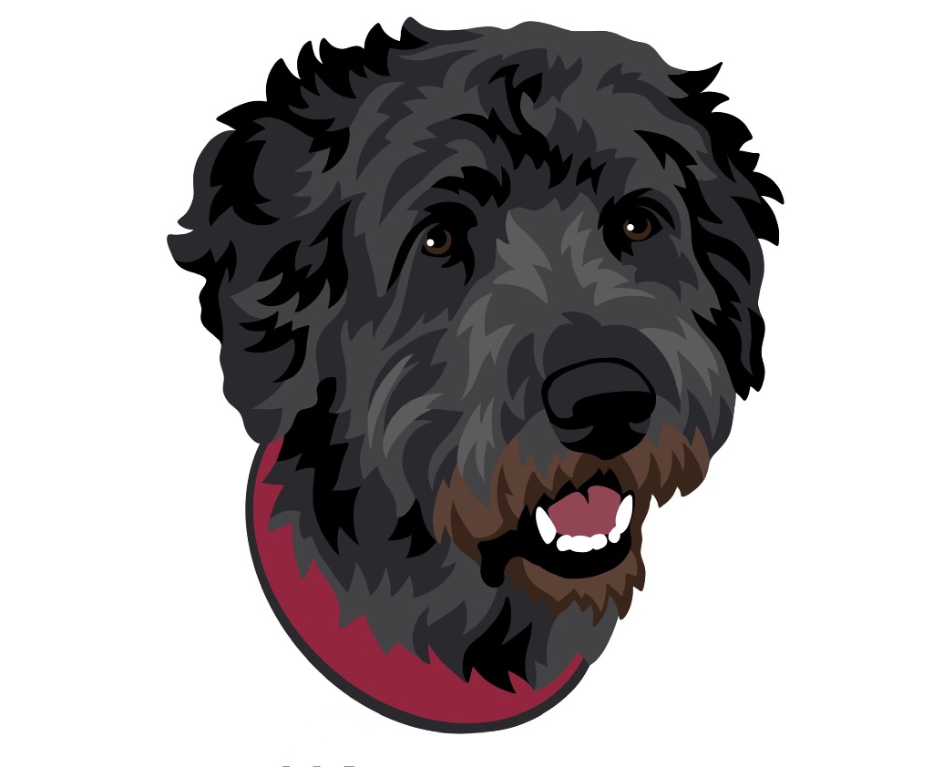 Your digital pet portrait