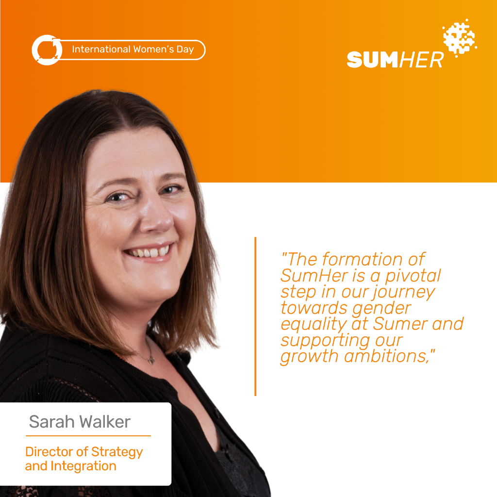 Sumer Group (Professional Services) asset 2