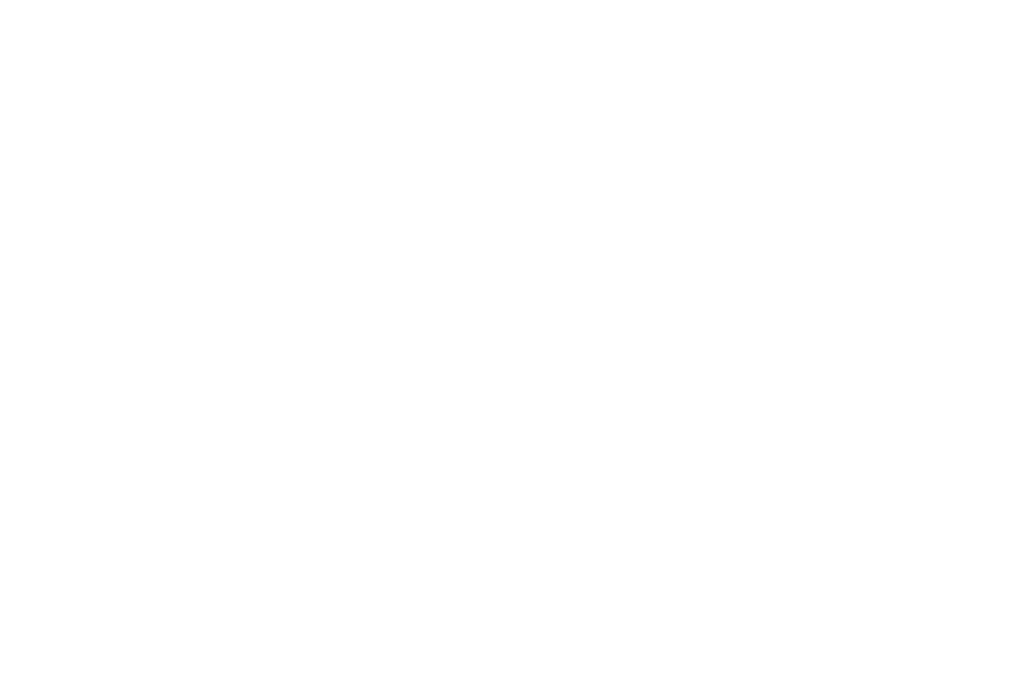 Data Flow Pros