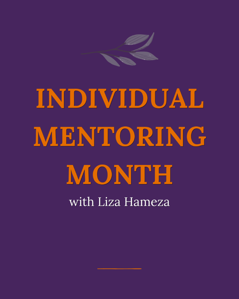 Individual Mentoring with Liza Hameza