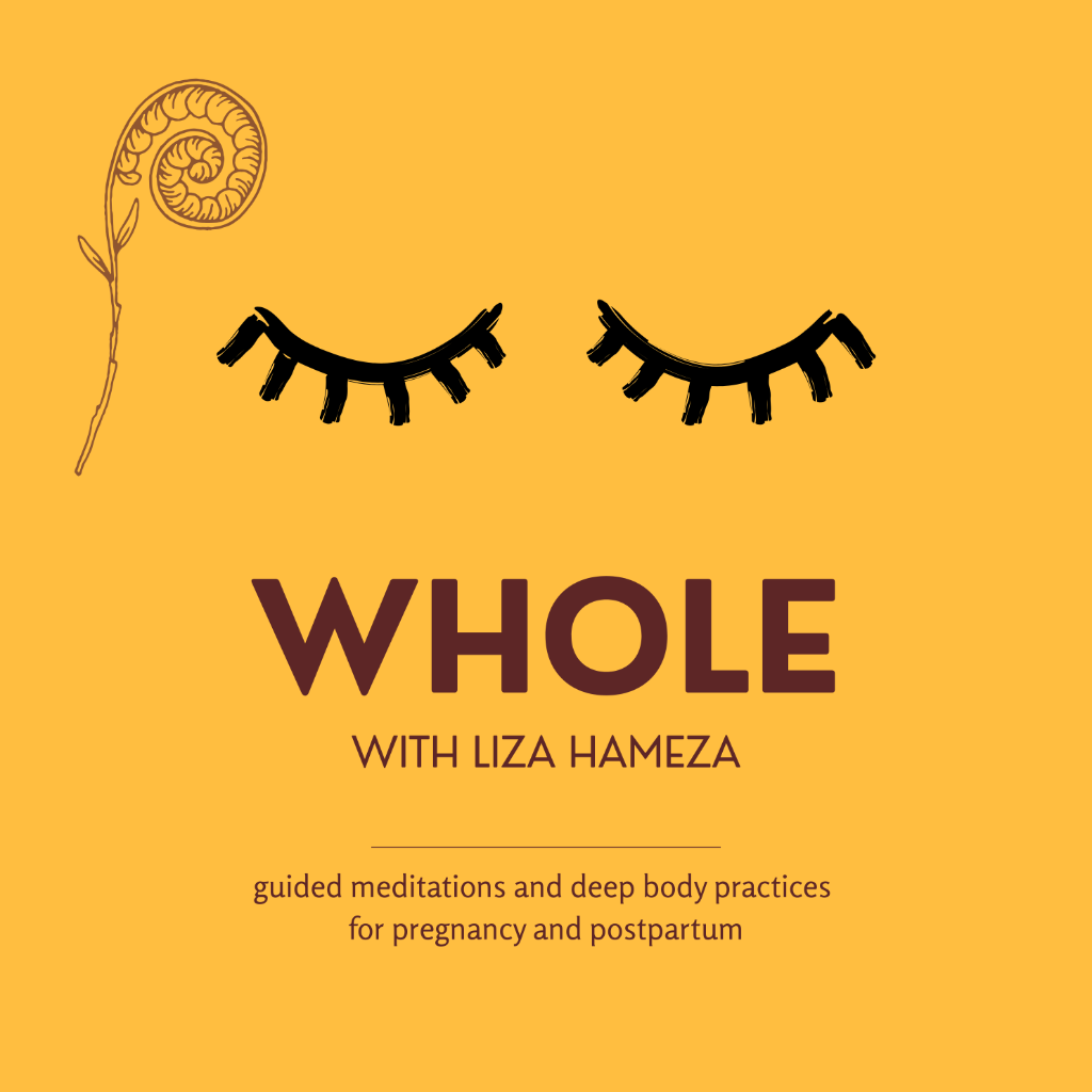 WHOLE — Guided Practices for Pregnancy and Postpartum by Liza Hameza