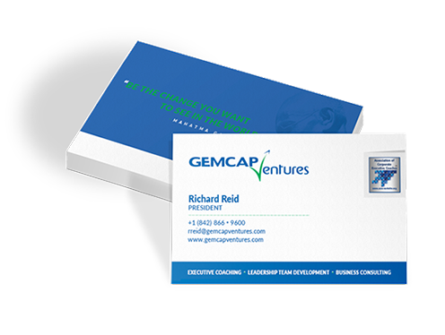 GEMCAP Ventures work 4