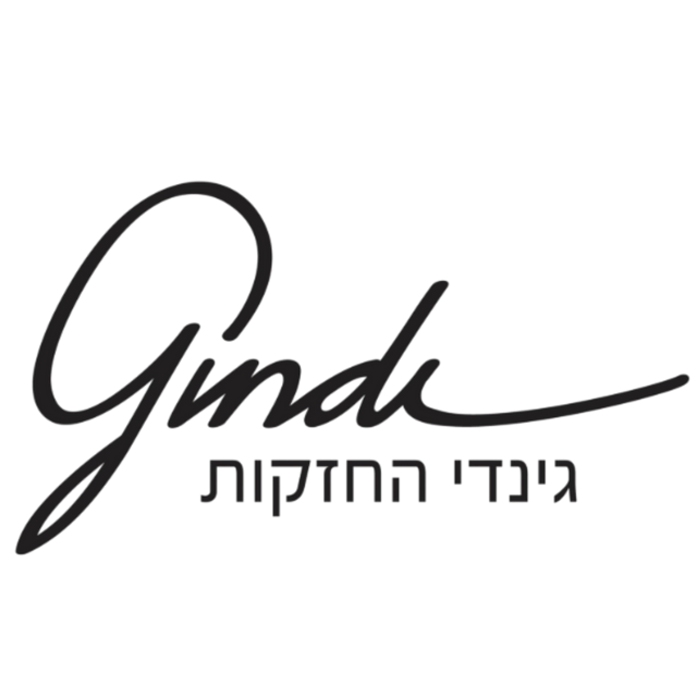 גינדי החזקות
