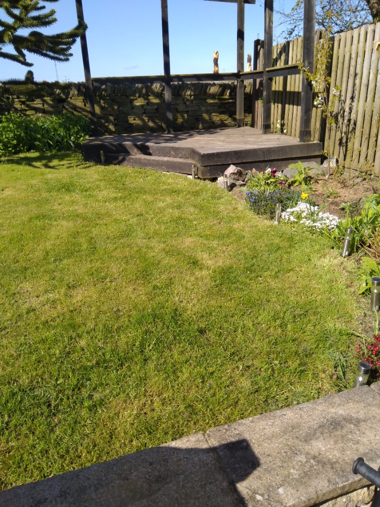 Our garden 3