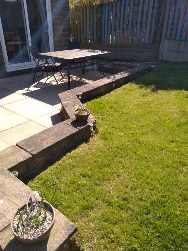 Our garden 1
